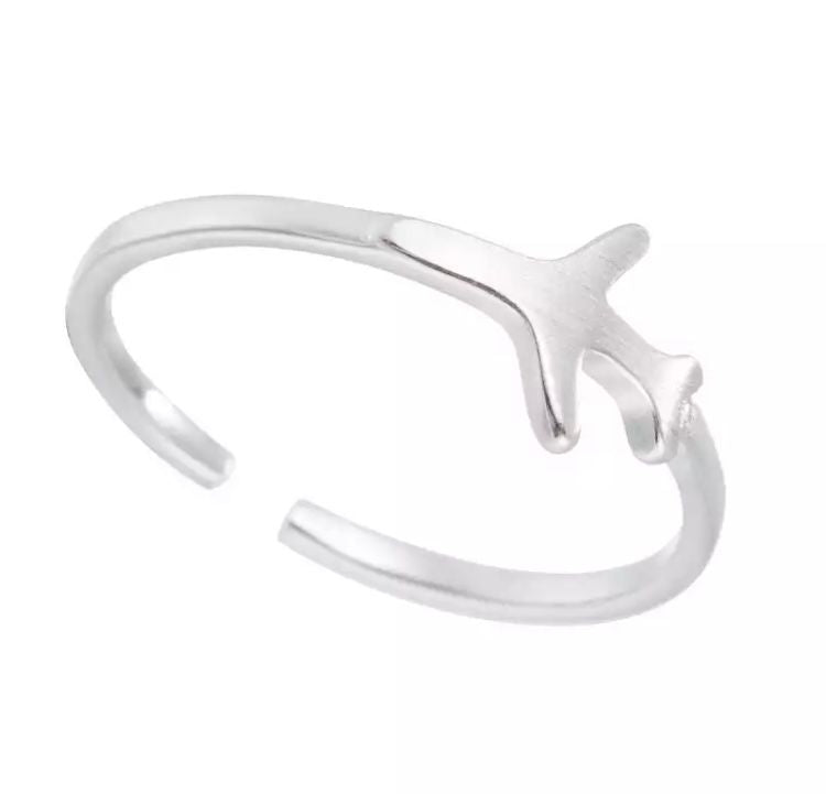 Airplane adjustable ring
